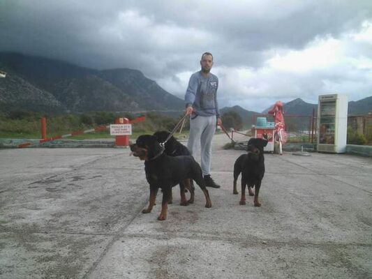  Budva,   Zoran, 38 ,   ,   