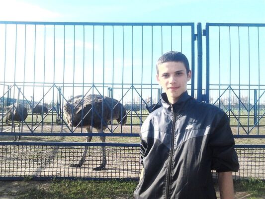  ,   Roma, 28 ,   ,   , c 