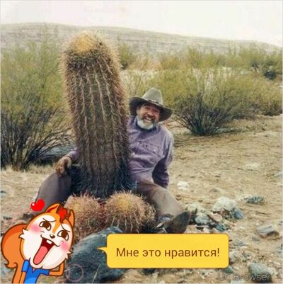  ,   , 32 ,     , c 