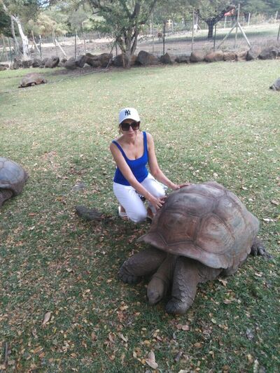  ,   Marina, 46 ,     , c 