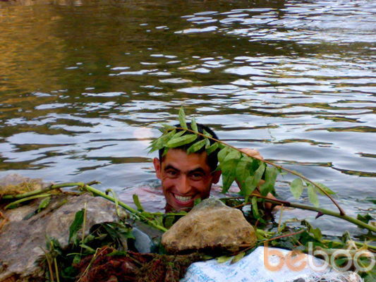 ���������� ����, ���� ������� Sefer, 43 ����, ������������ ��� ������, ����� � ���������, c�������� ���������