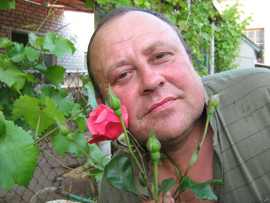  ,   , 62 ,   c , 