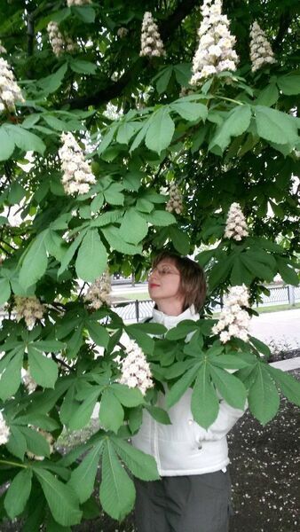  ,   , 53 ,   ,   , c 