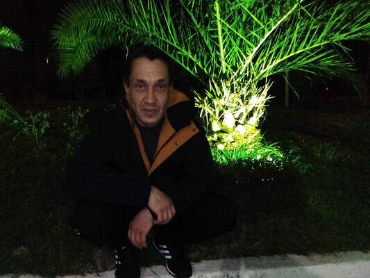  --,   , 51 ,   ,   , c 