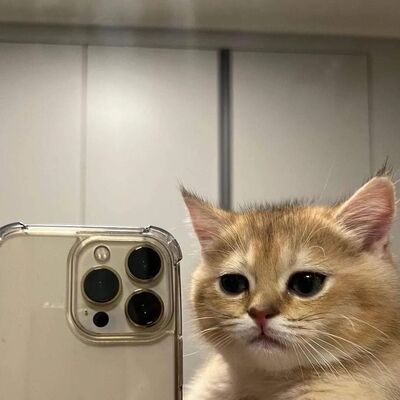  ,   , 20 ,   