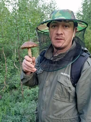 ���������� ����� �������, ���� ������� ���������, 39 ���, ������������ ��� ������, ����� � ���������, c�������� ���������