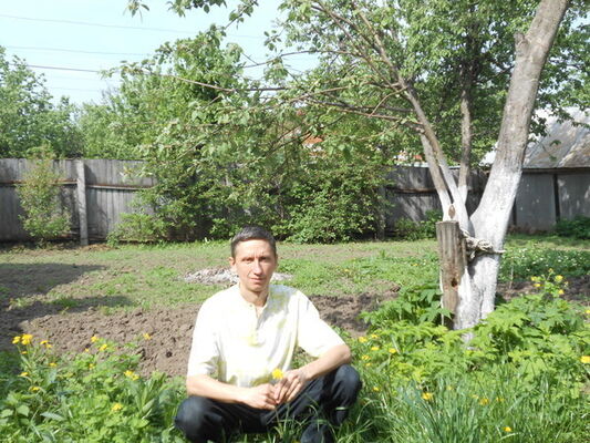  ,   , 54 ,   