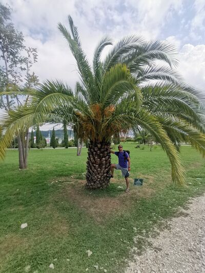  ,   , 44 ,   ,   