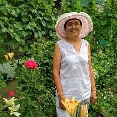  ,   Sveta, 72 ,   c 