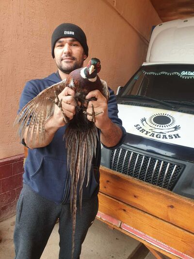  ,   Zayni, 37 ,   