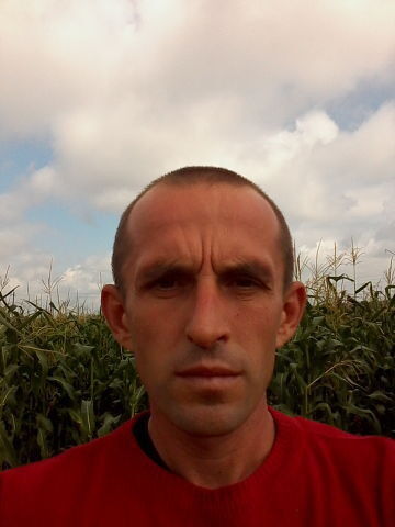  ,   , 44 ,   