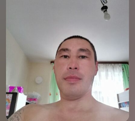  -,   , 41 ,   ,   