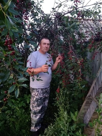  ,   , 54 ,   ,   , c 
