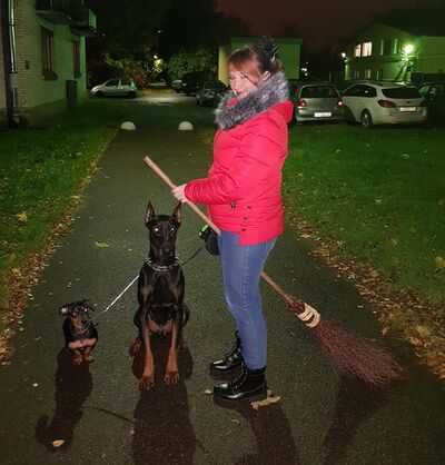  -,   , 33 ,   ,   , c 