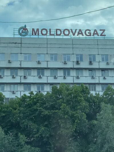  ,   Edik, 39 ,   ,   , c , 