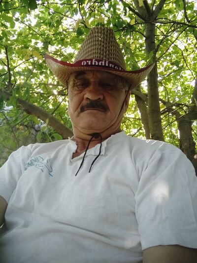  ,   , 67 ,   ,   