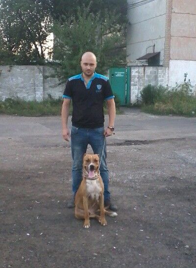 ���������� ��������, ���� ������� ���������, 31 ���, ������������ ��� ������, ����� � ���������, c�������� ���������