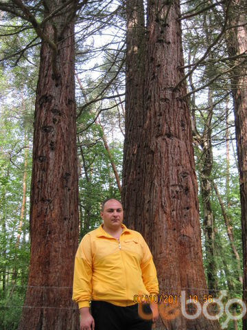  ,   Arsen, 47 ,     , c 