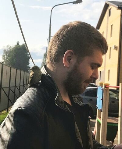  ,   , 29 ,   c , 