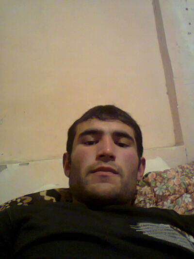  ,   Dizayn, 44 ,   