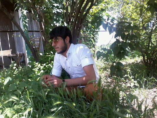 ,   HOVO, 34 ,   