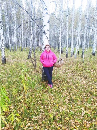  ,   , 53 ,     , c , 