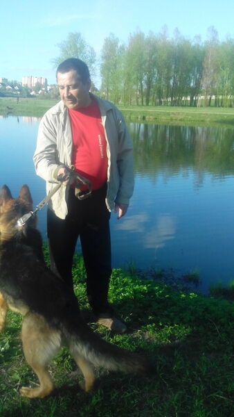  ,   , 53 ,  