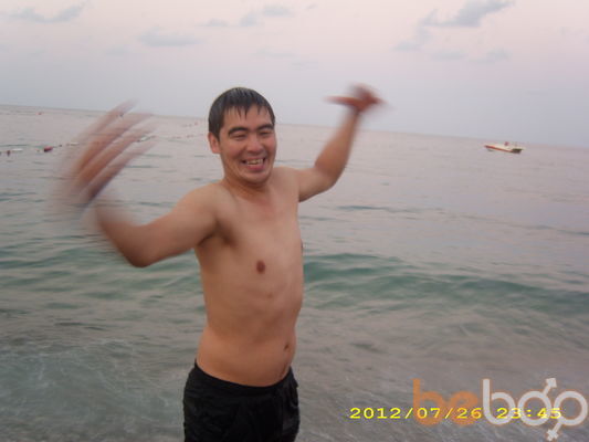  ,   Aset, 44 ,   