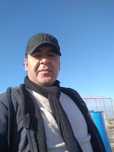  -,   Elman, 39 ,   ,   