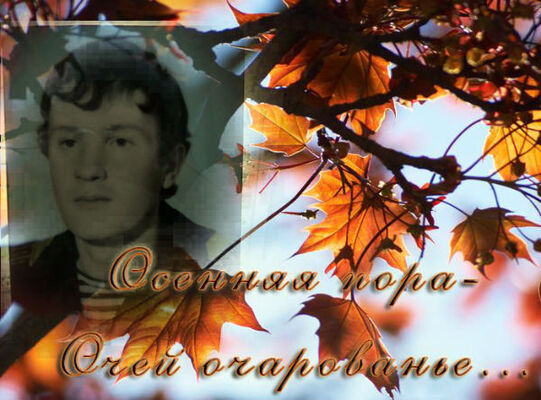 ���������� ����, ���� ������� Leon, 60 ���, ������������ ��� ������, ����� � ���������, c�������� ���������