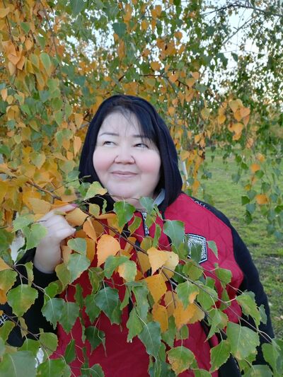   ,    , 52 ,     , c , 