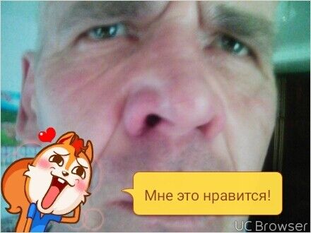   ,   , 55 ,   