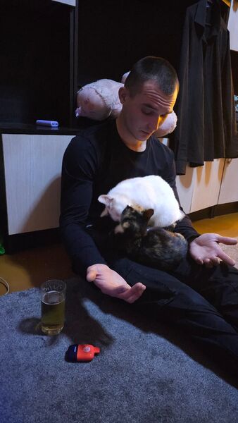  ,   , 29 ,   ,   , c 