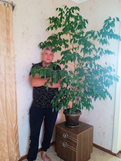  --,   , 100 ,   ,   , c 