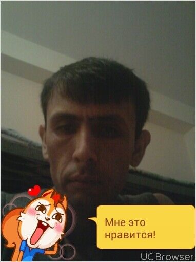  ,   Homid, 43 ,   