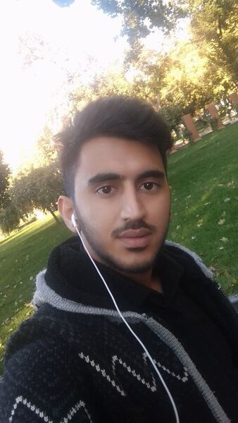  ,   Ali, 31 ,     , c 