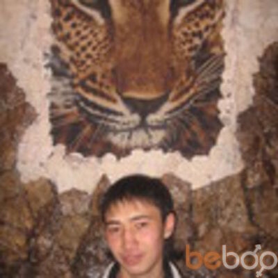  ,   Kitaec, 36 ,     , c 