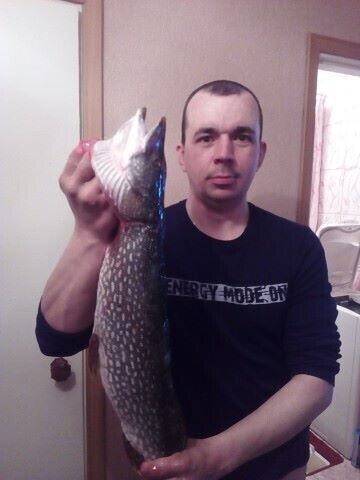  ,   Andrei, 42 ,   ,   