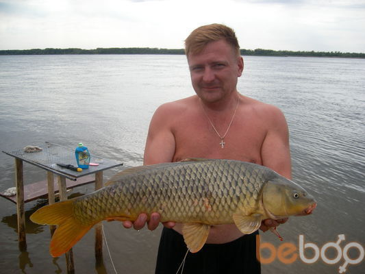  ,   , 54 ,   