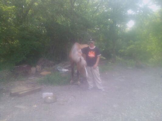  ,   ϸ, 48 ,   ,   , c , 