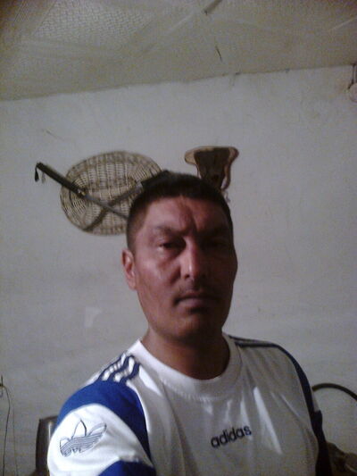  -,   , 51 ,   ,   , c 