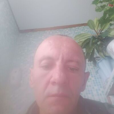  ,   Dima, 40 ,   ,   , c , 
