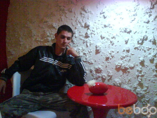  ,   Arara, 40 ,   
