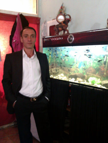  ,   Shabo, 50 ,   ,   