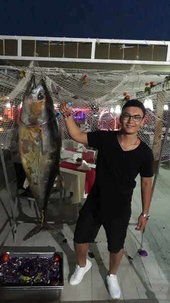  ,   , 26 ,   