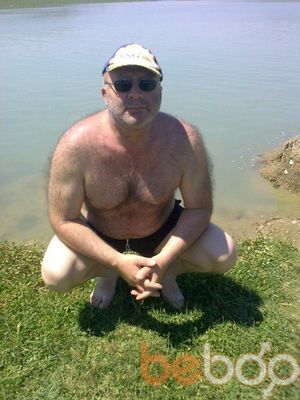  ,   Volk, 64 ,   