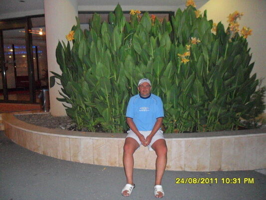  ,   Vik, 44 ,   ,   , c , 