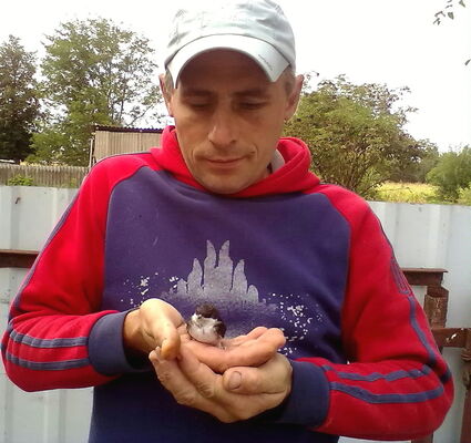  ,   , 46 ,     , c 