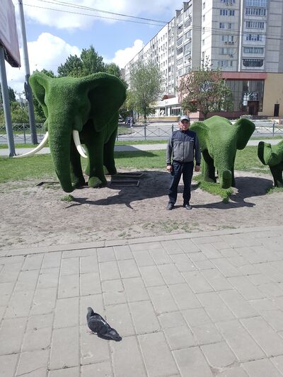  ,   , 51 ,     , 