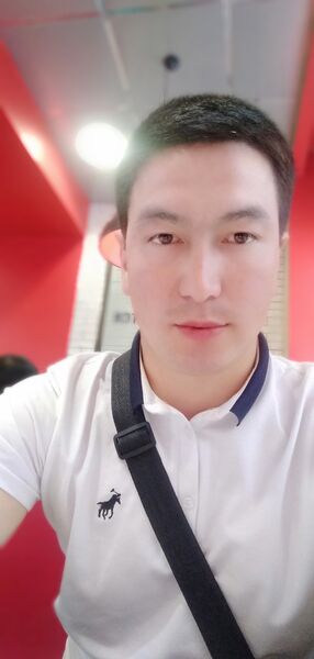  ,   Elzhas, 31 ,     , c 